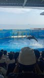 新江ノ島水族館に投稿された画像（2025/7/5）