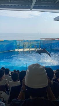 新江ノ島水族館に投稿された画像（2025/7/5）