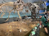 福井県立恐竜博物館に投稿された画像（2025/7/5）
