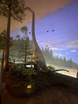 福井県立恐竜博物館に投稿された画像（2025/7/5）