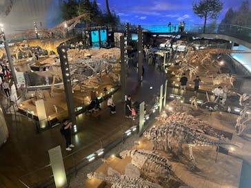 福井県立恐竜博物館に投稿された画像（2025/7/5）