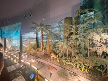 福井県立恐竜博物館に投稿された画像（2025/7/5）