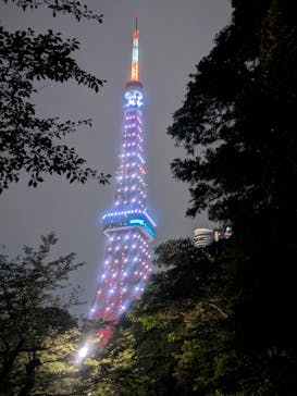 東京タワーに投稿された画像（2025/7/5）