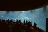 葛西臨海水族園に投稿された画像（2025/7/5）