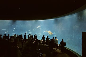 葛西臨海水族園に投稿された画像（2025/7/5）