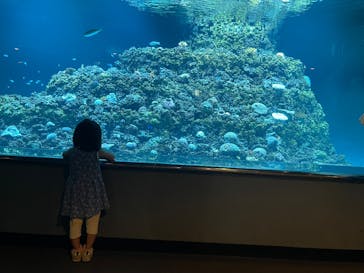 葛西臨海水族園に投稿された画像（2025/7/5）