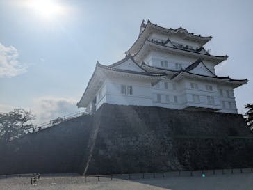 小田原城に投稿された画像（2025/7/5）