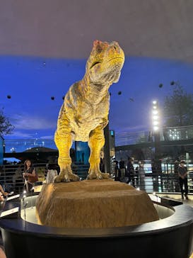 福井県立恐竜博物館に投稿された画像（2025/7/5）