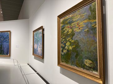 モネ 睡蓮のとき（豊田会場）に投稿された画像（2025/7/5）