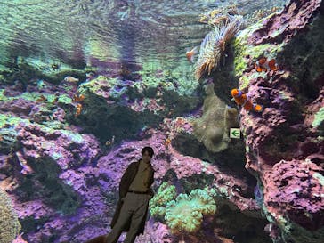 サンシャイン水族館に投稿された画像（2025/7/5）