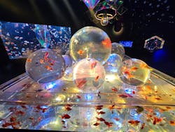 沖縄金魚ミュージアムに投稿された画像（2025/7/5）