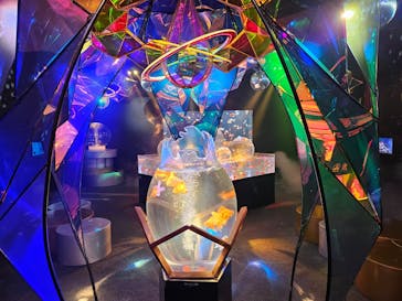 沖縄金魚ミュージアムに投稿された画像（2025/7/5）