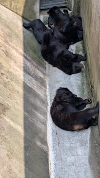 阿蘇カドリー・ドミニオンに投稿された画像（2025/7/5）