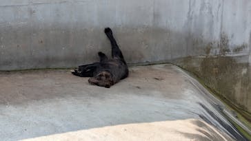 阿蘇カドリー・ドミニオンに投稿された画像（2025/7/5）