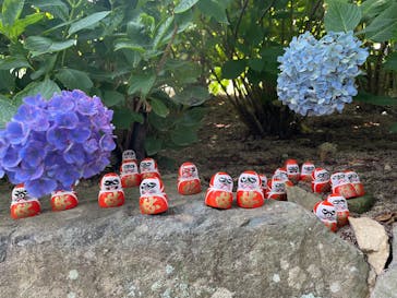 勝尾寺に投稿された画像（2025/7/5）