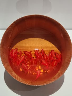 あべのハルカス美術館に投稿された画像（2025/7/5）