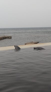 城崎マリンワールドに投稿された画像（2025/7/5）