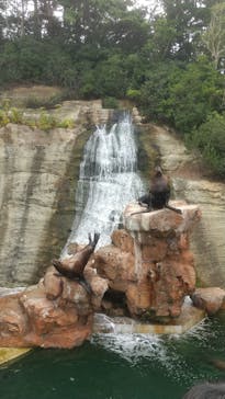 城崎マリンワールドに投稿された画像（2025/7/5）