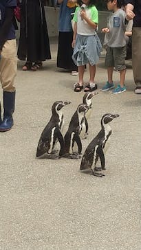 城崎マリンワールドに投稿された画像（2025/7/5）