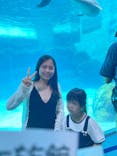 名古屋港水族館に投稿された画像（2025/7/6）