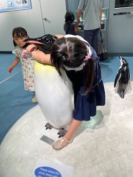 名古屋港水族館に投稿された画像（2025/7/5）