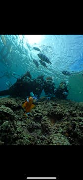 武藤潜水に投稿された画像（2025/7/6）