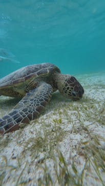 宮古島マリン SUGAR3（シュガースリー）に投稿された画像（2025/7/6）