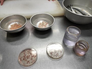 しながわ水族館に投稿された画像（2025/7/6）