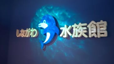 しながわ水族館に投稿された画像（2025/7/6）