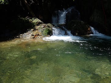 フィールドアースに投稿された画像（2025/7/6）