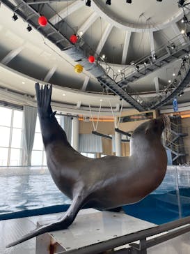 アクアワールド茨城県大洗水族館に投稿された画像（2025/7/6）