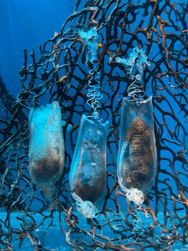 アクアワールド茨城県大洗水族館に投稿された画像（2025/7/6）