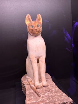 ACN ラムセス大王展 ファラオたちの黄金に投稿された画像（2025/7/6）