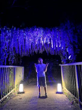 ニジゲンノモリに投稿された画像（2025/7/6）