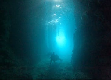 武藤潜水に投稿された画像（2025/7/6）