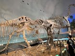 福井県立恐竜博物館に投稿された画像（2025/7/6）