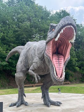 福井県立恐竜博物館に投稿された画像（2025/7/6）