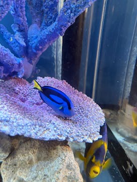 サンシャイン水族館に投稿された画像（2025/7/6）