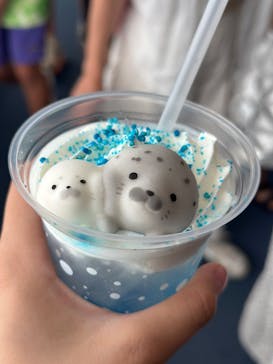 新江ノ島水族館に投稿された画像（2025/7/6）