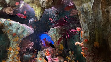 サンシャイン水族館に投稿された画像（2025/7/6）