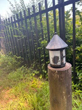 ムーミンバレーパークに投稿された画像（2025/7/6）