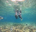 武藤潜水に投稿された画像（2025/7/6）