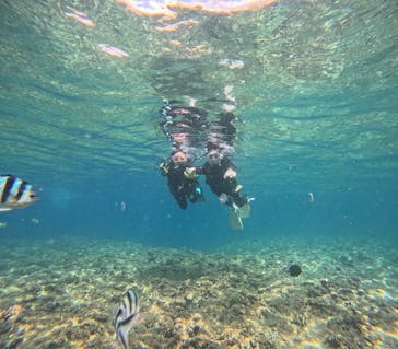 武藤潜水に投稿された画像（2025/7/6）