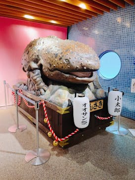 京都鉄道博物館×京都水族館に投稿された画像（2025/7/6）