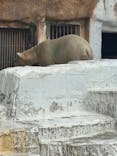 天王寺動物園に投稿された画像（2025/7/6）