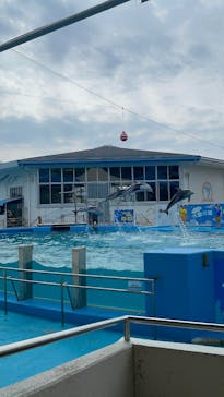 のとじま水族館に投稿された画像（2025/7/6）