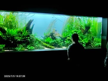 AOAO SAPPOROに投稿された画像（2025/7/6）