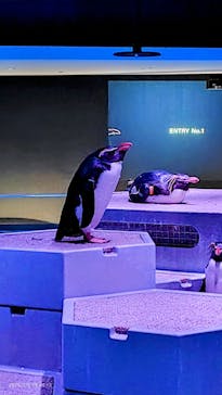 AOAO SAPPOROに投稿された画像（2025/7/6）