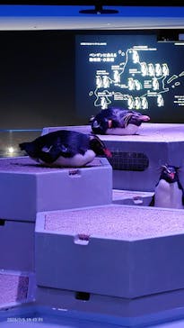 AOAO SAPPOROに投稿された画像（2025/7/6）