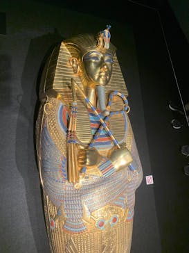 MYSTERY OF TUTANKHAMEN 体感型古代エジプト展に投稿された画像（2025/7/6）